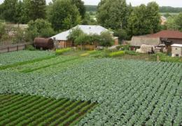 Бизнес-идеи в сельском хозяйстве